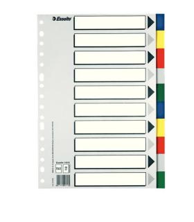 SEPARADOR DE POLIPROPILENO CON 10 POSICIONES FORMATO FOLIO COLORES VIVOS ESSELTE 11610