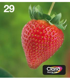 Epson Strawberry Multipack 4-colours 29 EasyMail