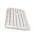 TECLADO NGS CABLE SPIKE BLANCO  USB