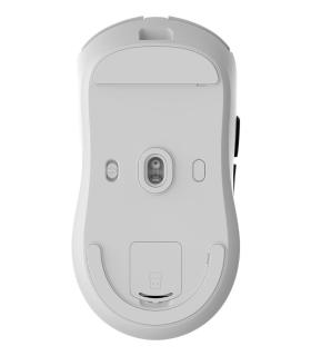 Coolbox Gaming Ratn W03 10000DPI Inalmbrico RF+B