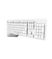 Teclado Y Ratn Inalmbricos Trust Ody II