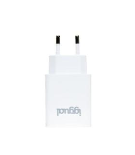 Iggual Cargador De Pared 1xUSB 5V 2.4A (12W)