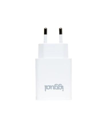 Iggual Cargador De Pared 1xUSB 5V 2.4A (12W)