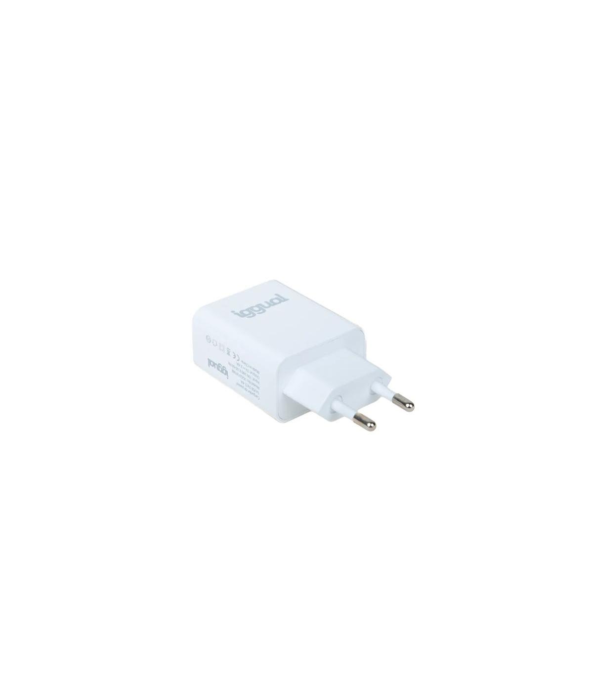 Iggual Cargador De Pared 1xUSB 5V 2.4A (12W)