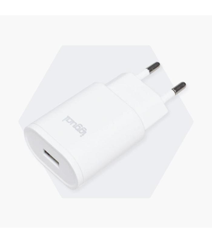 Iggual Cargador De Pared 1xUSB 5V 2A (10W)