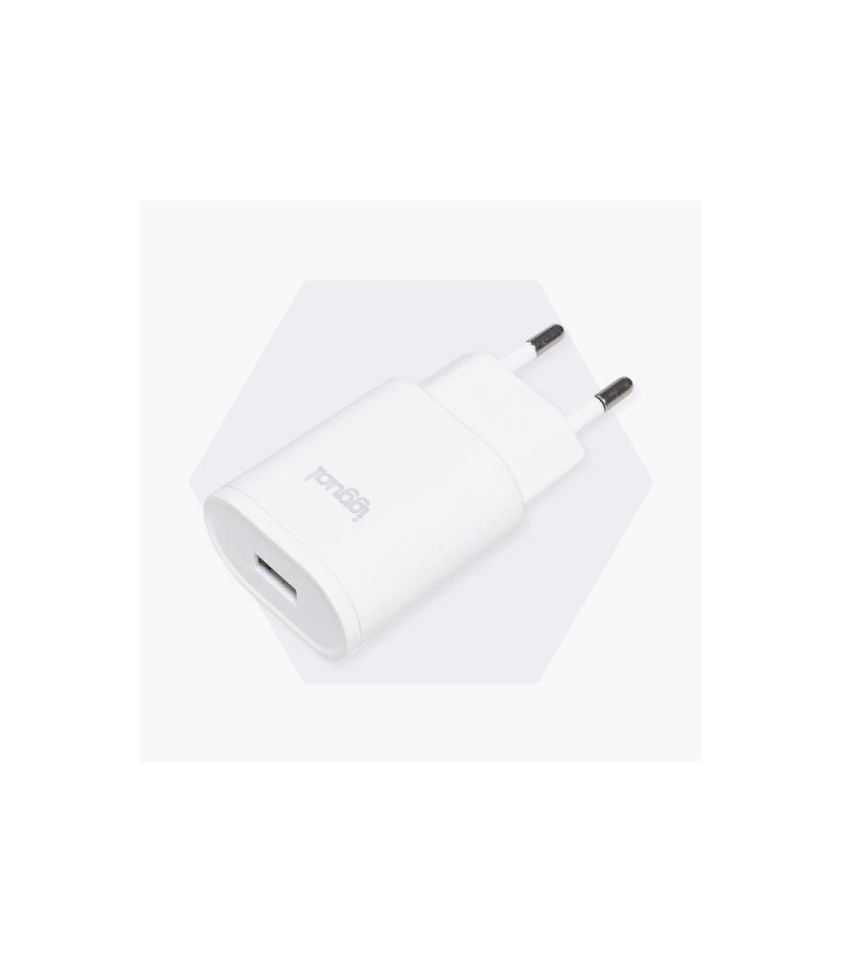 Iggual Cargador De Pared 1xUSB 5V 2A (10W)