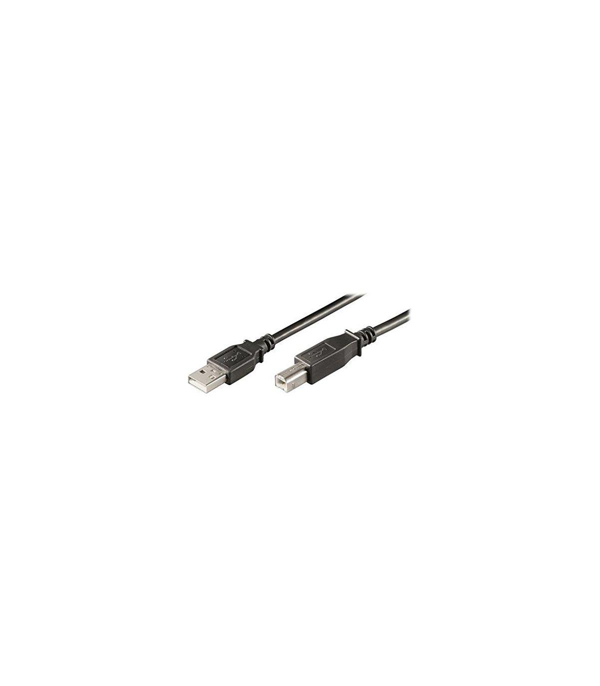 Ewent Cable USB 2.0  "A" M A "B" M 5,0 M