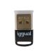 Iggual Adaptador USB 2.0 Mini Bluetooth 5.3