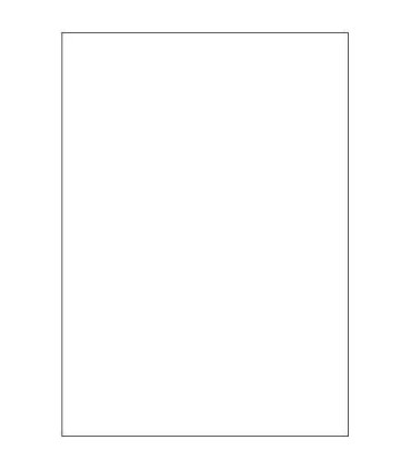 CAJA 100 HOJAS ETIQUETAS BLANCAS SIN MRGENES-LSER/INYECCIN DE TINTA/FOTOCOPIADORAS-210X297 MM MEGASTAR LP4MS-210297