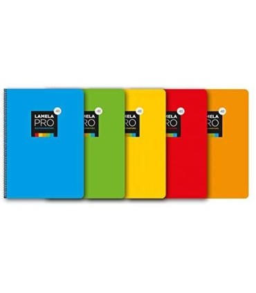 CUADERNO FOLIO EXTRA DURA 100 HOJAS. 4 MM., SURTIDOS LAMELA